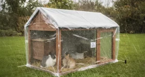 bâche de protection pour enclos d'animaux : poules, lapins, rongeurs